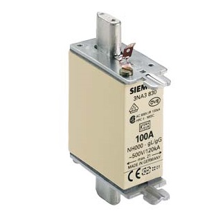 [100021966] FUSIBLE NH T000 100A CURVA GG 120KA   3NA3830