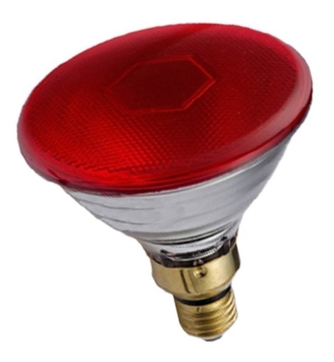 [160328] (CONSULTAR) LAMP REFLECT PAR 38  120 LEDS LUZ BLANCA