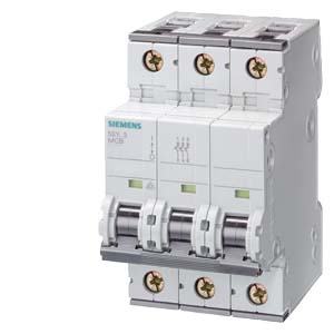 [100020051] INT TERMOMAG 10KA 3X 25A CURVA C   5SY4325-7